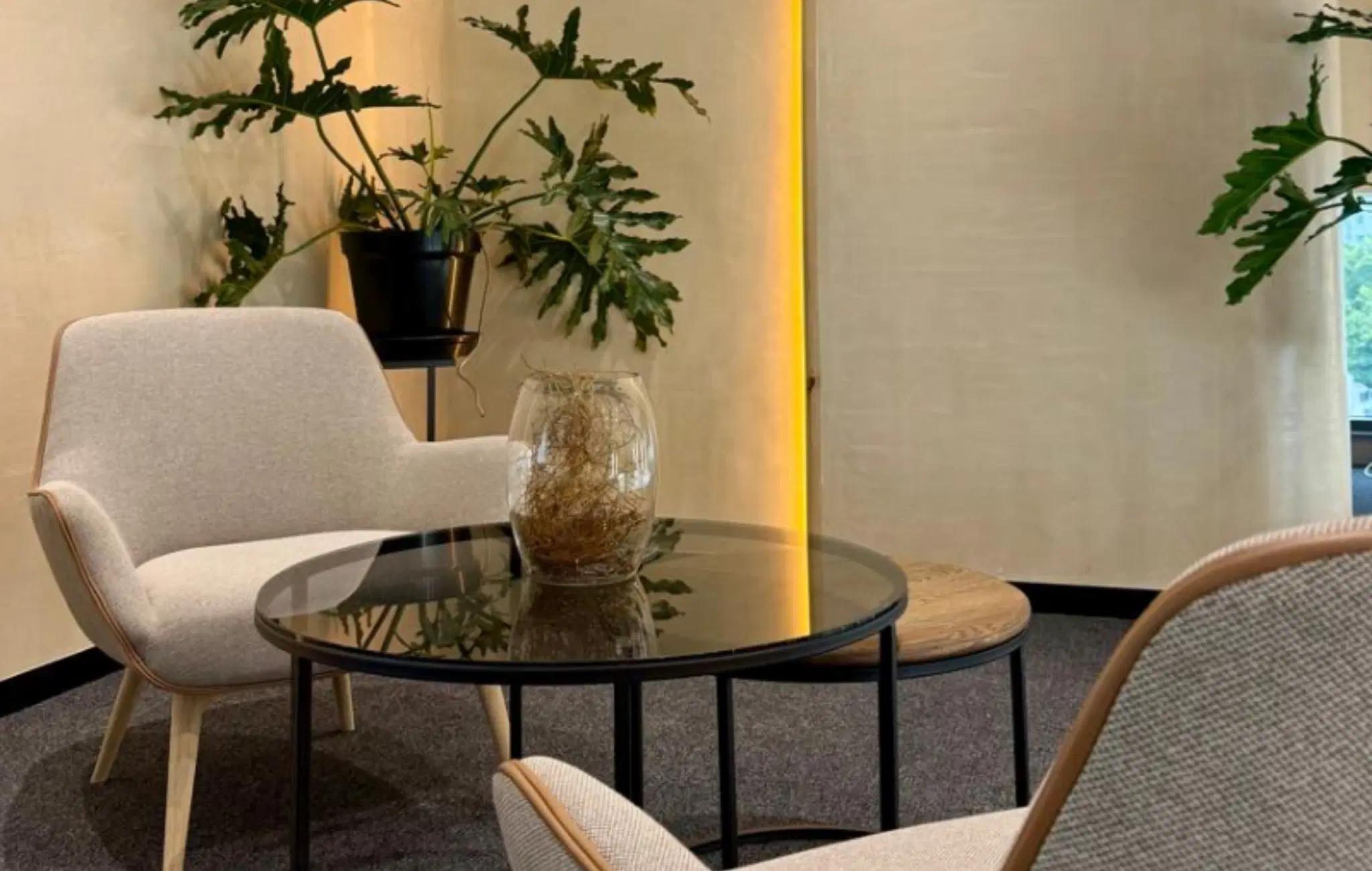WellNest Gold consults overview, Cape Town
